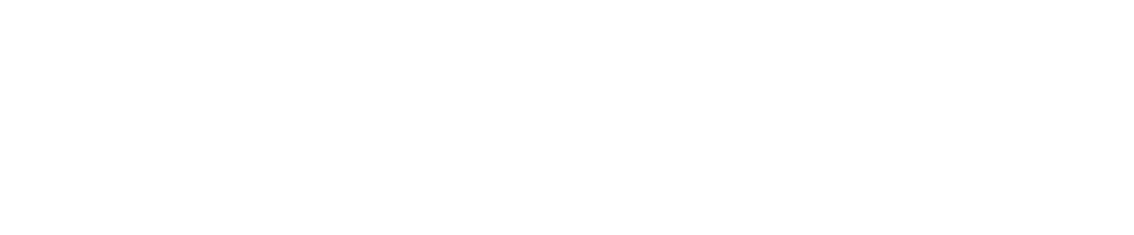 Shadowbanned NYFW F/W 2027